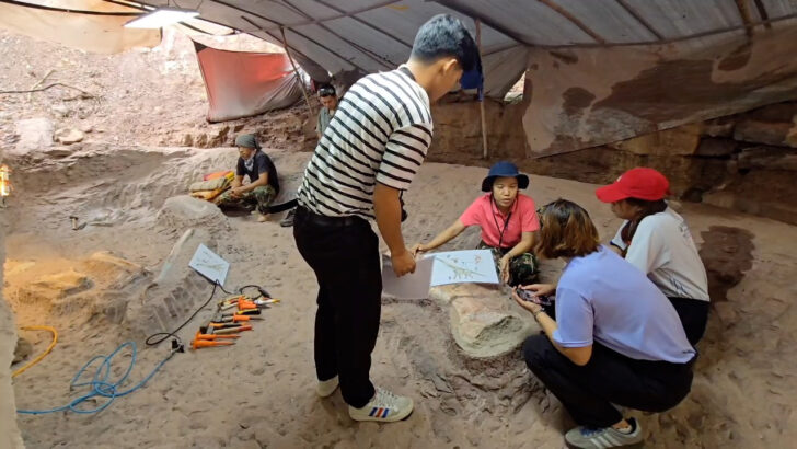 Шестой fossil динозавра, обнаруженный в Хонгкае, поддерживает заявку Таиланда на статус геопарка ЮНЕСКО