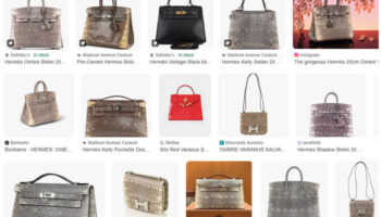 Thai Leather Association Backs Water Monitor Farming to Boost Exports