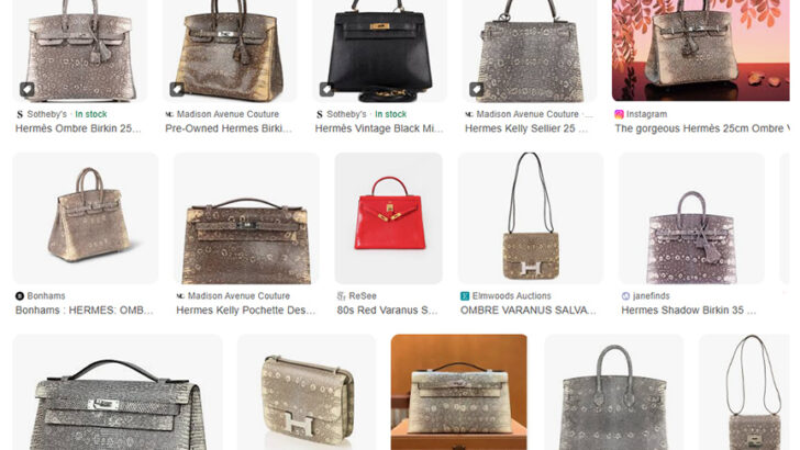 Thai Leather Association Backs Water Monitor Farming to Boost Exports