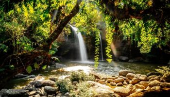 Agoda называет национальный парк Као Яй вторым лучшим сельским направлением в Азии