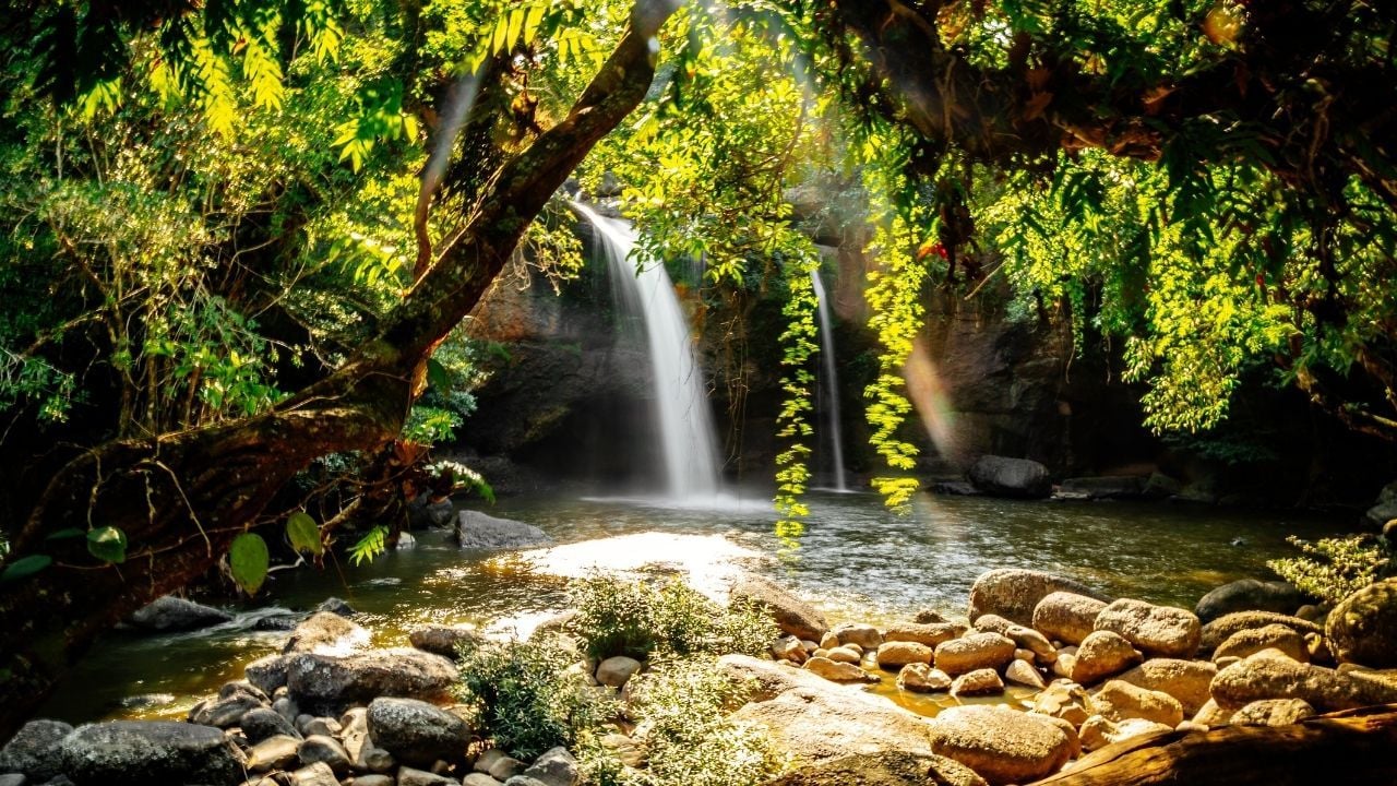 Agoda называет национальный парк Као Яй вторым лучшим сельским направлением в Азии