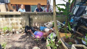 Атака буйвола в Чиангмае оставила 3 пострадавших