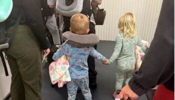 Британская семья меняет классы на тук-туки в приключении по Азии (видео)