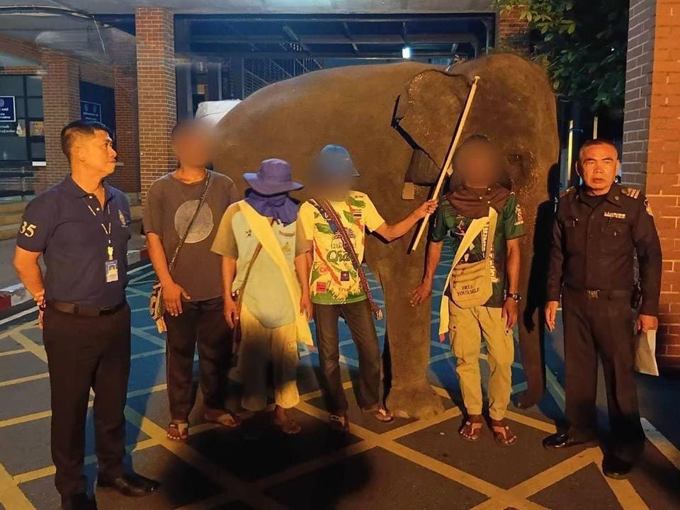 Власти Паттайи предупреждают после того, как слона видели, прогуливающимся у торгового центра.