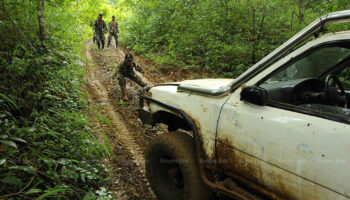 Дорога в заповедник дикой природы 'готова в 2027 году'