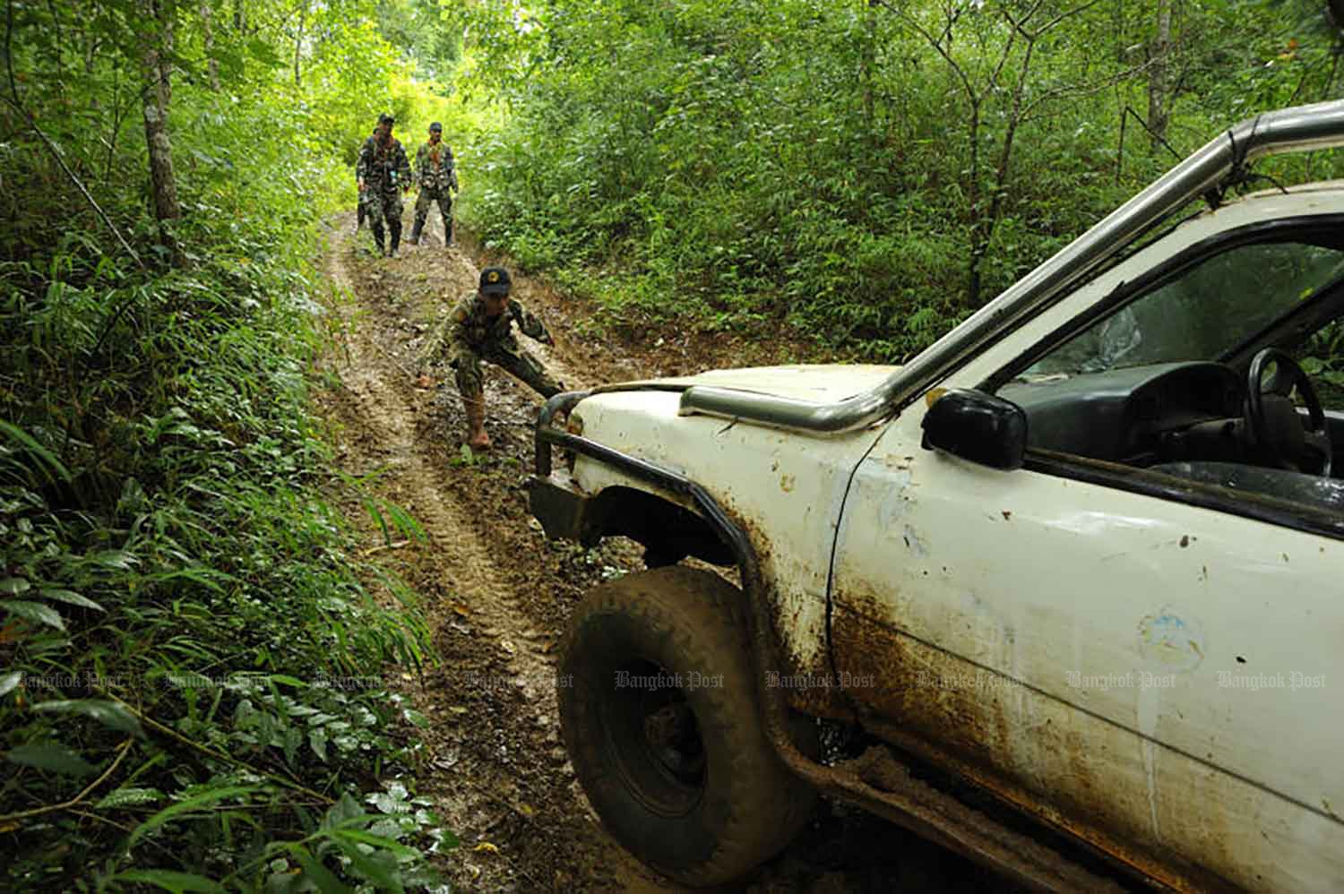 Дорога в заповедник дикой природы 'готова в 2027 году'