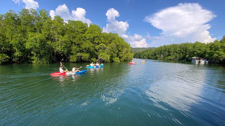 Европейские туристы стекаются на острова Трат, несмотря на пограничный спор между Таиландом и Камбоджей