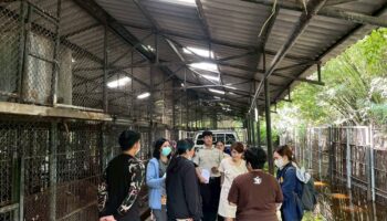 Зона диких животных закрыта после смертельной атаки льва в зоопарке