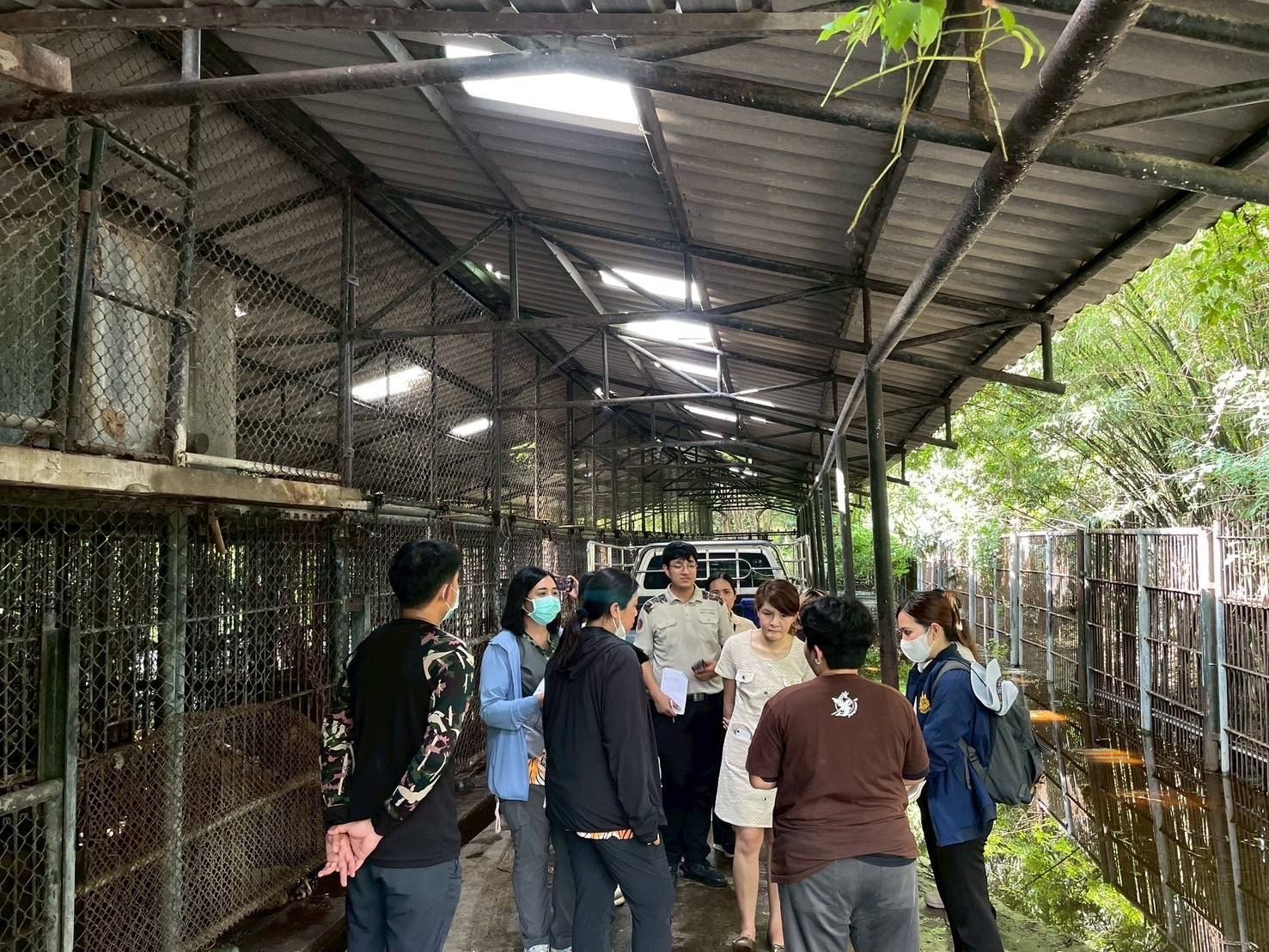 Зона диких животных закрыта после смертельной атаки льва в зоопарке