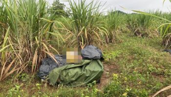 Камбоджийские контрабандистыCaught с нелегальными сигаретами в Са Каео