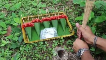 Лотерейная лихорадка: Тарантул выбирает счастливый номер для предстоящего розыгрыша