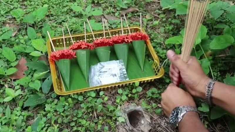 Лотерейная лихорадка: Тарантул выбирает счастливый номер для предстоящего розыгрыша