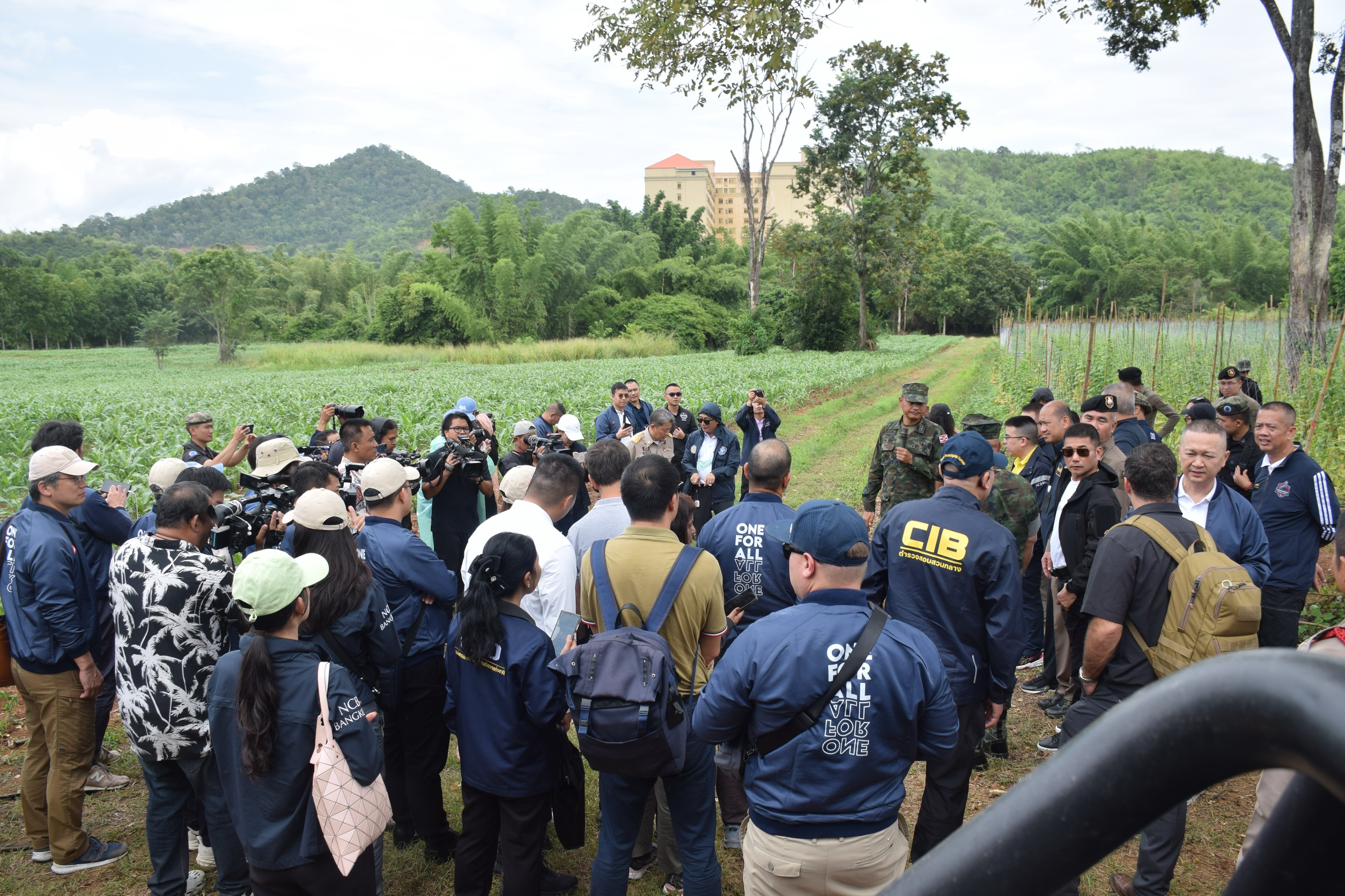 Международная полиция проверяет операции по мошенничеству на тайско-корейской границе