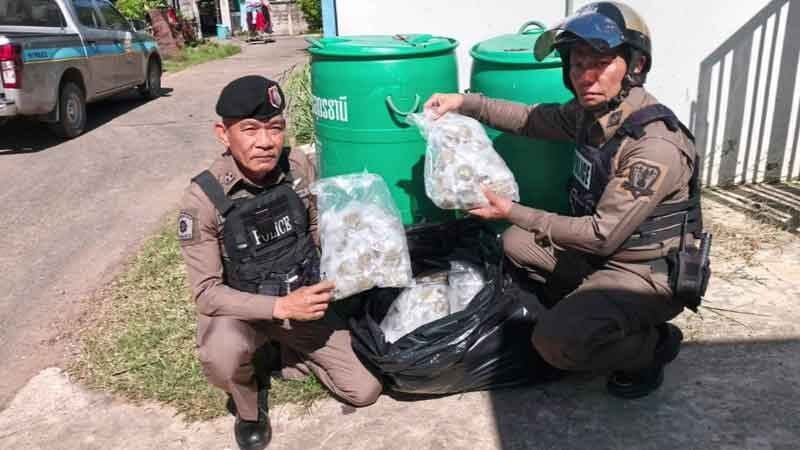 Мешки с каннабисом, выброшенные у дома в Удона Тани, ставят местных жителей в недоумение