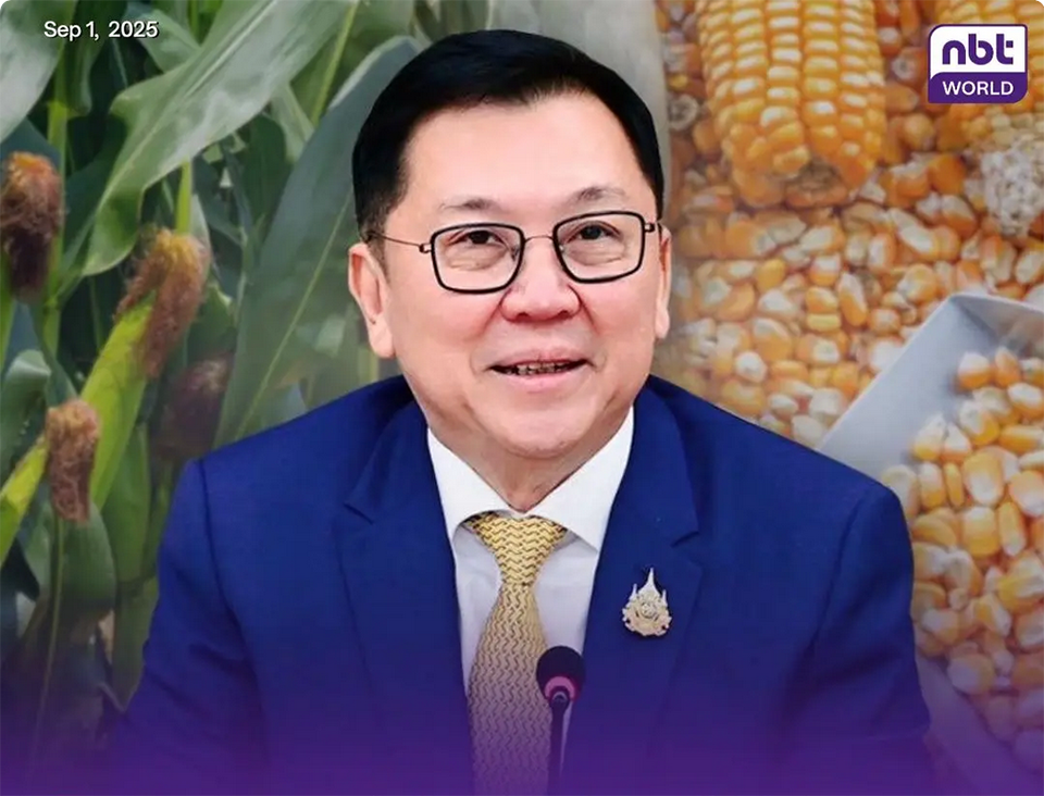 Министерство торговли Таиланда устанавливает официальные цены на кормовую кукурузу на сезон 2025/26 для защиты фермеров.