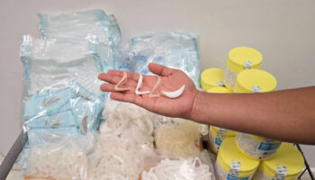 Полиция Бангкока провела рейд, в ходе которого обнаружила масштабную торговлю поддельным силиконом