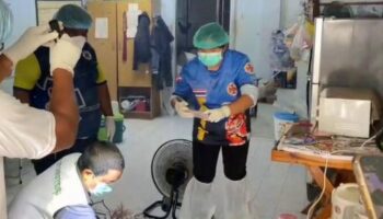 Полиция находит разложившееся тело женщины в таунхаусе в Утай Тани