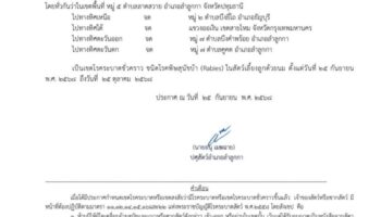Предупреждение о бешенстве: Кот вызывает зону эпидемии животных в Бангкоке