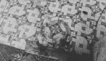 Пьяный тайский мужчина забивает до смерти щенка соседа в Бангкоке