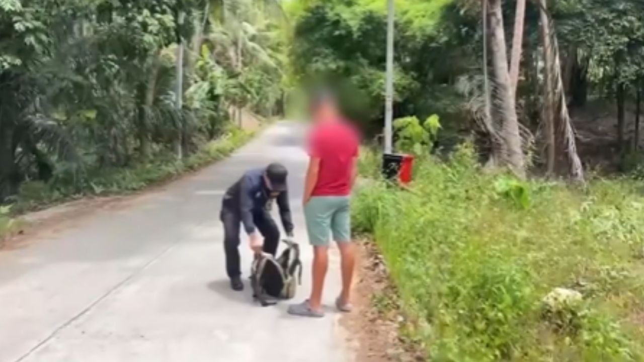 Русский мужчина арестован на Кох Пангане за незаконный бизнес по аренде мотоциклов