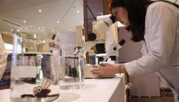 Сигнал тревоги из-за увеличения случаев гриппа, РСВ, лихорадки денге