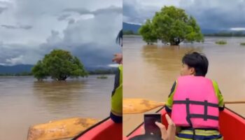 Смелый тайский мальчик плывет сквозь наводнение, чтобы спасти застрявших друзей
