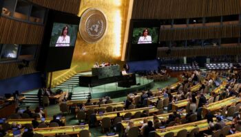 Совет государства заявляет, что Анутин может выступить на заседании ООН по 'вопросу срочности'