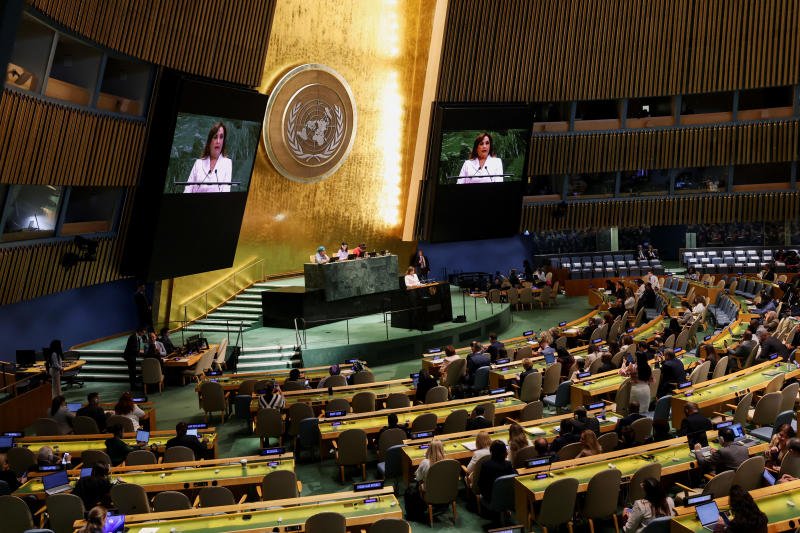 Совет государства заявляет, что Анутин может выступить на заседании ООН по 'вопросу срочности'