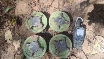 Таиланд и Камбоджа согласны очистить минные поля и упростить контрольные пункты