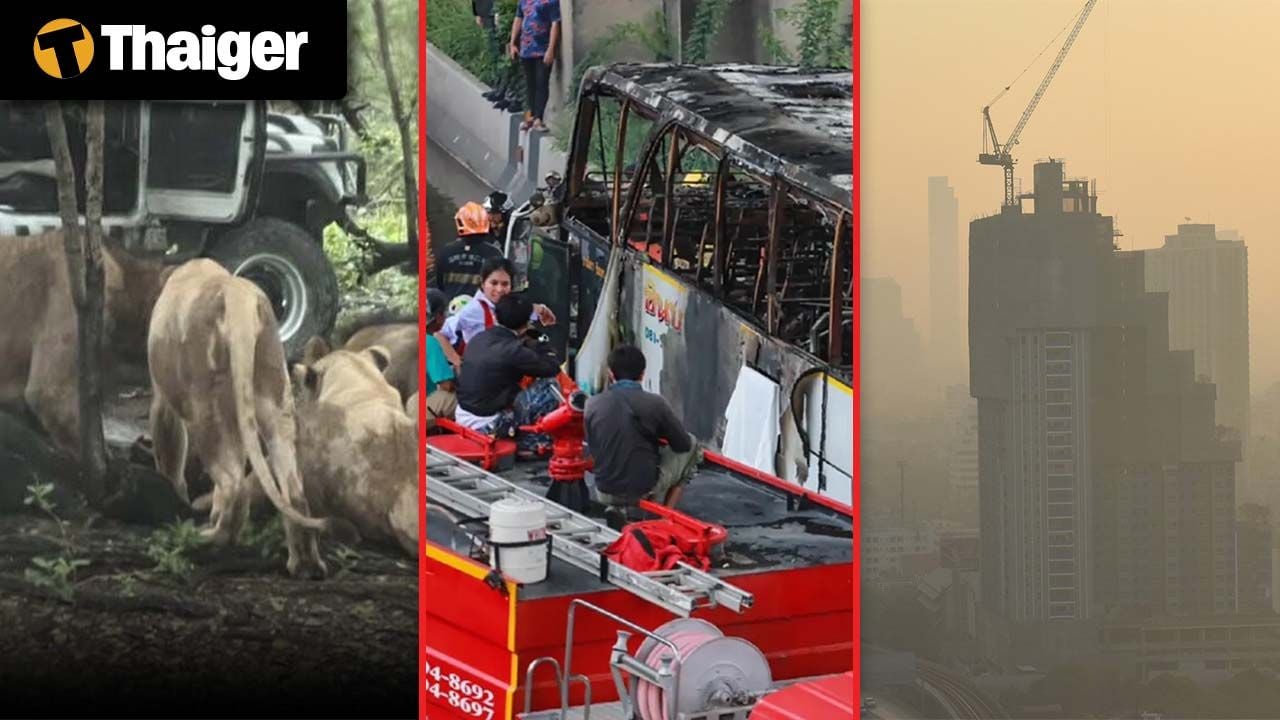 Тайланд видео новости  “Работник Сафари в Бангкоке погиб от нападения львов после выхода из автомобиля в Restricted Zone”, Тайланд достиг высоких оценок в аудите безопасности ICAO после нескольких лет реформ