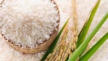 Тайский рис привлекает всеобщее внимание на выставке продуктов питания в Австралии