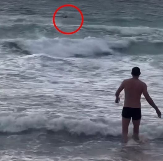 Турист был спасен после того, как проигнорировал красные флажки на пляже Карон