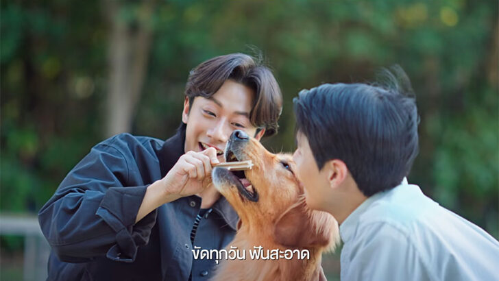 JerHigh запускает жевательные лакомства для здоровья зубов с P’Jung и Cullen