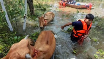 Больше дождя прогнозируется на севере и северо-востоке Таиланда.