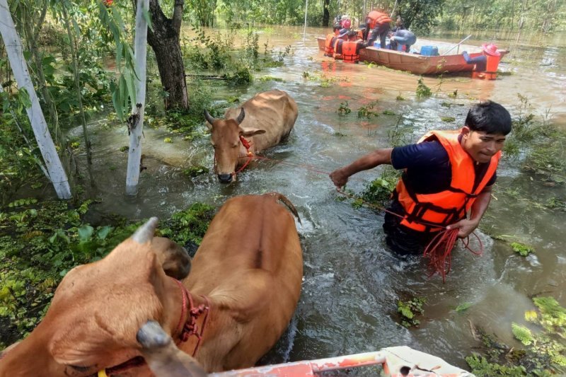 Больше дождя прогнозируется на севере и северо-востоке Таиланда.