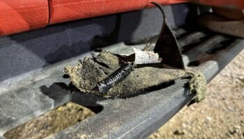 Бродячие собаки виновны в ущербе в 100 тысяч бат для пикапа в Паттайе