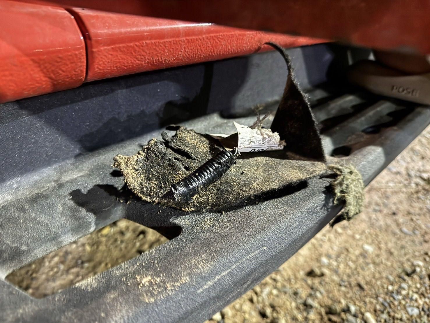 Бродячие собаки виновны в ущербе в 100 тысяч бат для пикапа в Паттайе