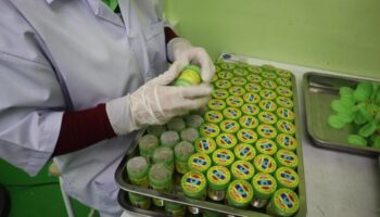 Владелец Hong Thai приносит извинения, отзывает 200,000 ингаляторов из-за загрязнения