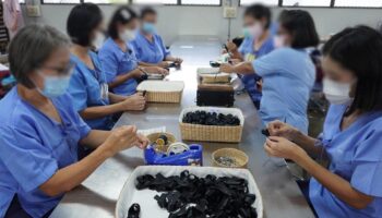 Министерство юстиции запускает全国альные черные траурные ленты в честь королевы-матери