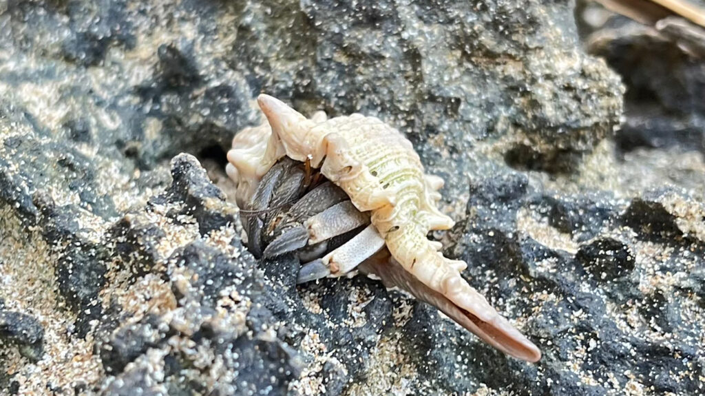 Национальный парк архипелага Ланта среди десяти победителей Таиланда в 2025 году в категории Green Destinations Top 100 Stories