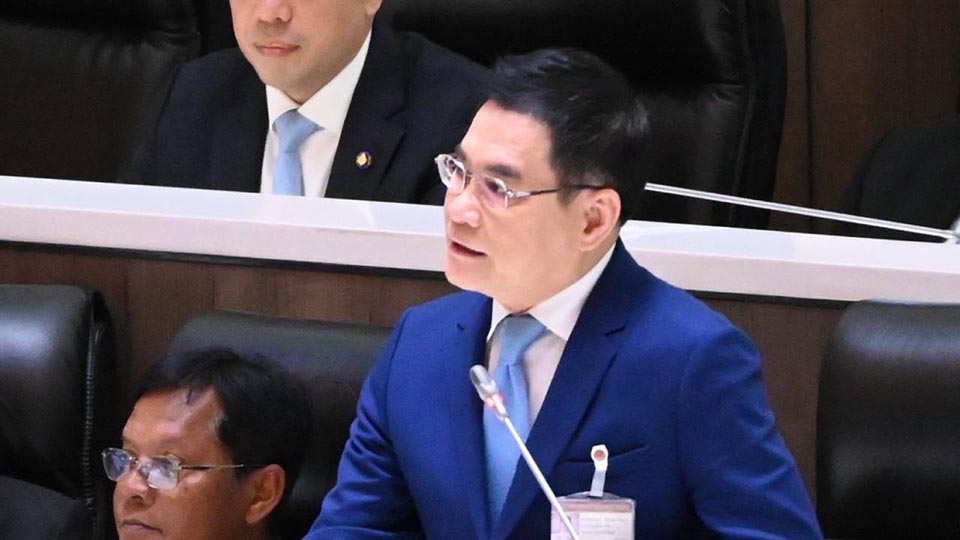 Партия демократов ищет ясности по поводу позиции правительства относительно поправок к конституции