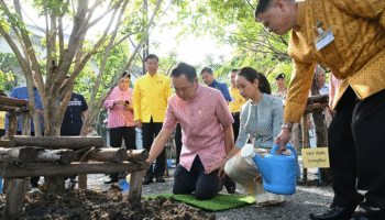 Премьер-министр Анутин возглавляет мероприятие по высадке деревьев в честь Национального дня любителей деревьев Таиланда