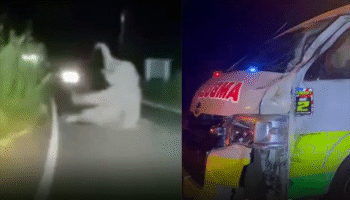 Спасательная машина столкнулась с диким слоном в Чаченгсао, сообщается о незначительных травмах