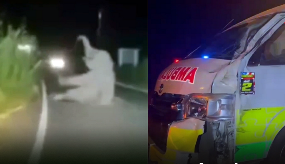 Спасательная машина столкнулась с диким слоном в Чаченгсао, сообщается о незначительных травмах