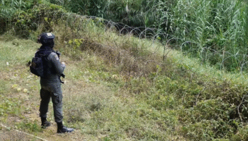 Таиланд и Камбоджа начнут поэтапное выведение тяжелого вооружения с общей границы 1 ноября