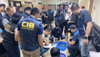 Тайваньская тройка задержана с 52 одурманенными животными в аэропорту Дон Муанг