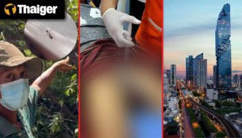 Тайланд видео новости Тайский мужчина застрелен после спора с соседом, тайский мужчина умер после укуса муравья во время обрезки деревьев в Самутпракане