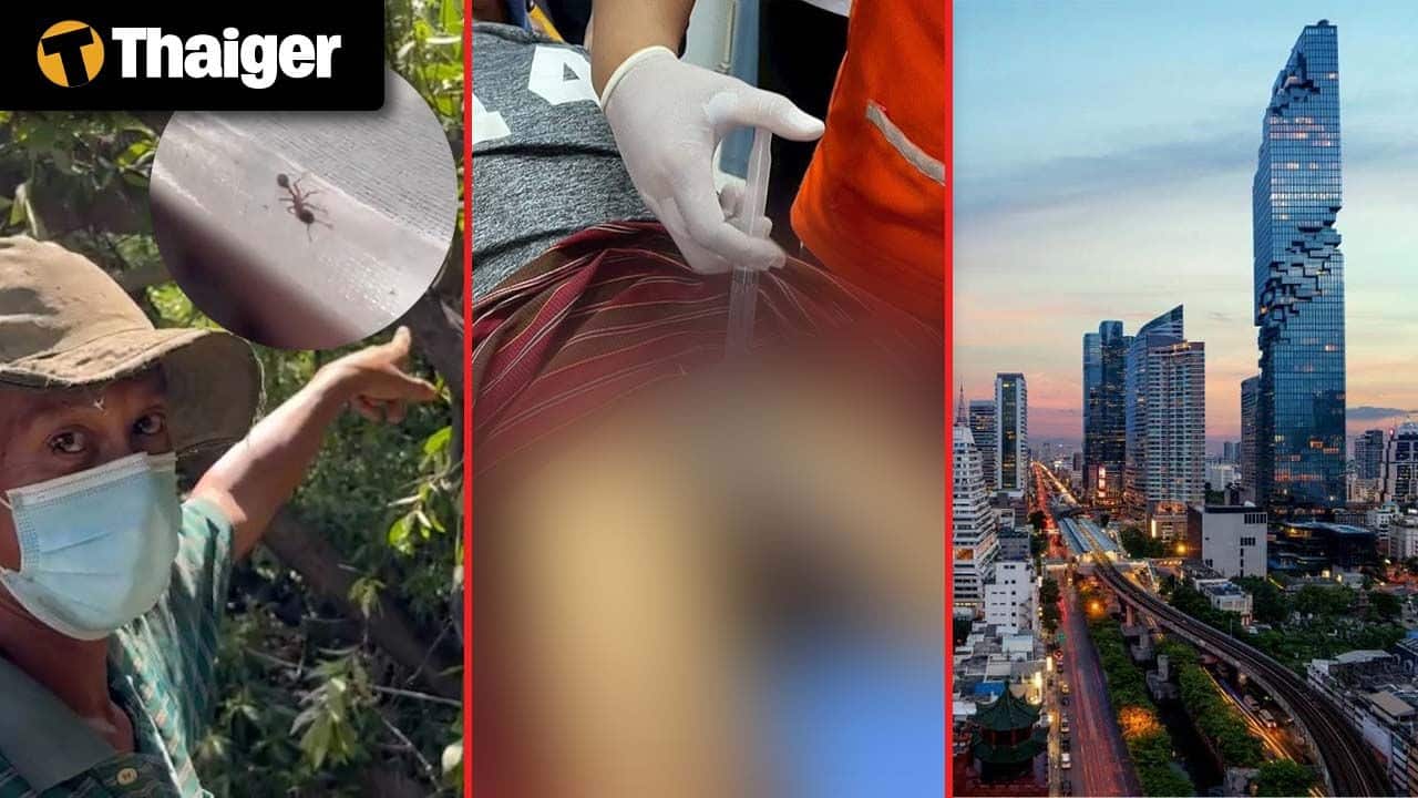 Тайланд видео новости Тайский мужчина застрелен после спора с соседом, тайский мужчина умер после укуса муравья во время обрезки деревьев в Самутпракане