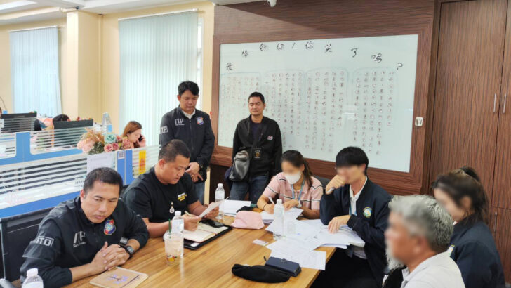 Тайская туристическая компания подвергается расследованию после вирусного видео с китайским гидом