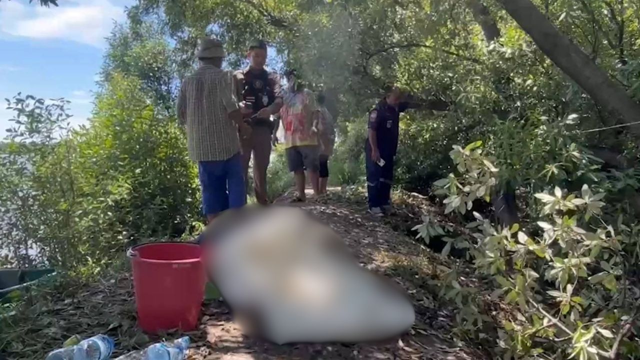 Тайский мужчина умер после укуса муравья во время обрезки деревьев в Самут Пракане